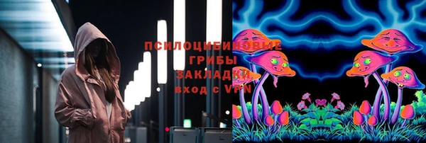 стаф Бронницы