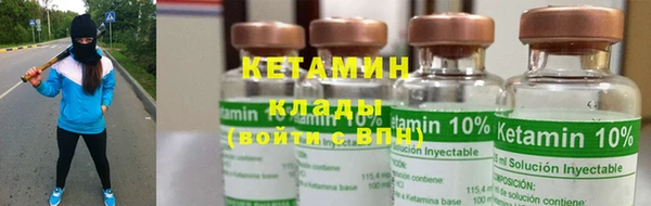 трава Бородино