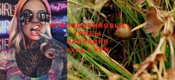 трава Бородино