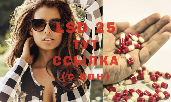 стаф Бронницы