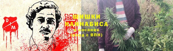 трава Бородино