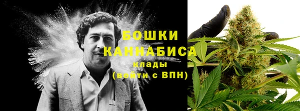 стаф Бронницы