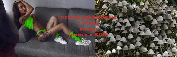 стаф Бронницы