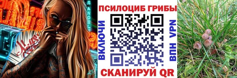 Галлюциногенные грибы мицелий  Шилка 