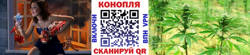 Шишки марихуана THC 21% Шилка